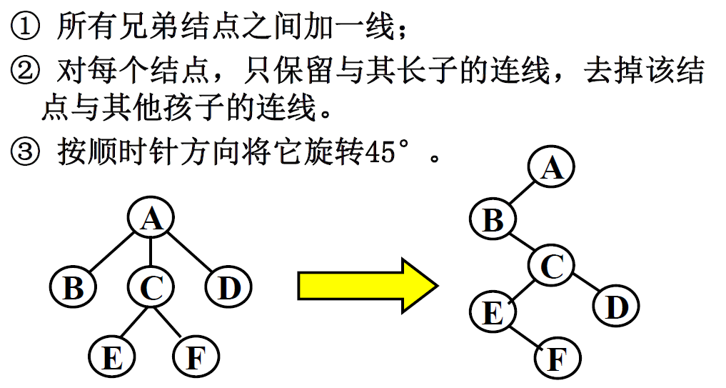 树和二叉树的转换