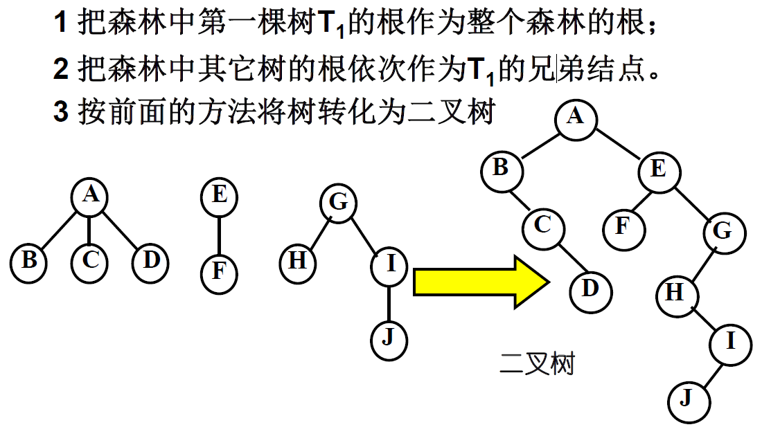 森林和二叉树的转换