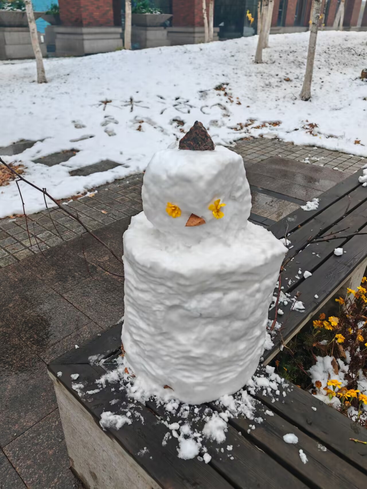 和路过的同学们搓的小雪人