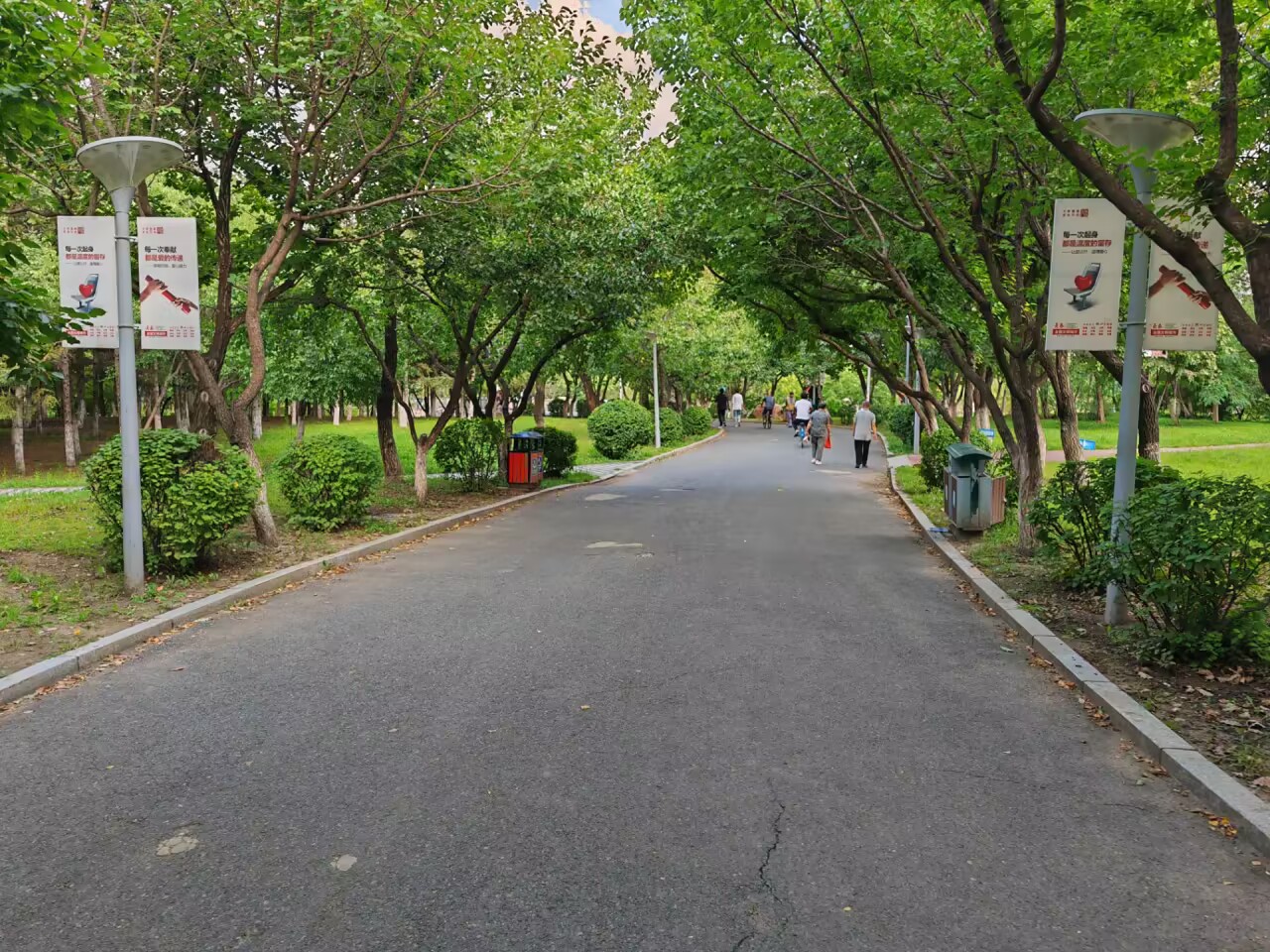 2023 年秋天我第一次见的三佳湖公园